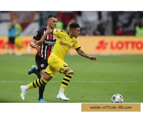 阿斯拉尼入多特引援关注名单 目前双方尚未展开接触